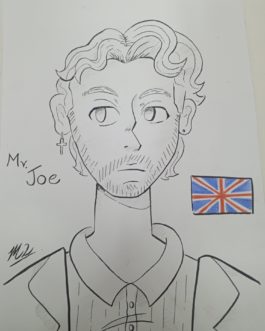 Mr Joe